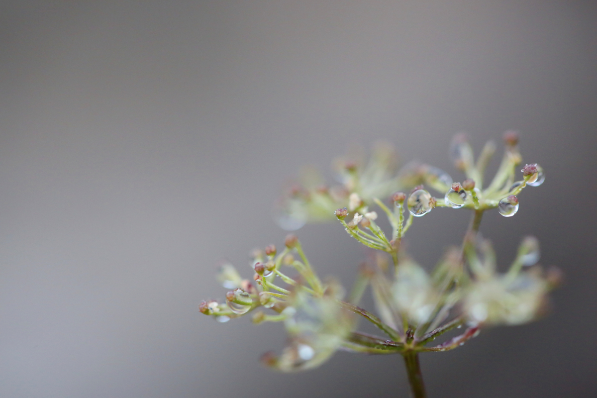 f:id:MAREOSIEV:20150924155248j:plain f:id:MAREOSIEV:20150924155248j:plain