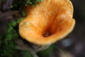20150924183255