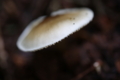 20150924183256