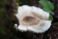 20150924183257