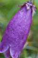 20150924183307