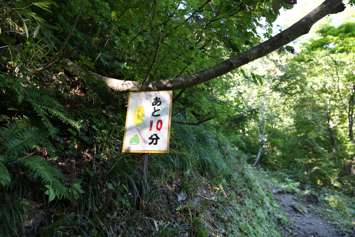 f:id:MAREOSIEV:20150924234005j:plain