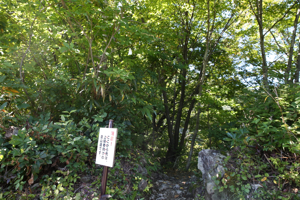 f:id:MAREOSIEV:20150924234007j:plain