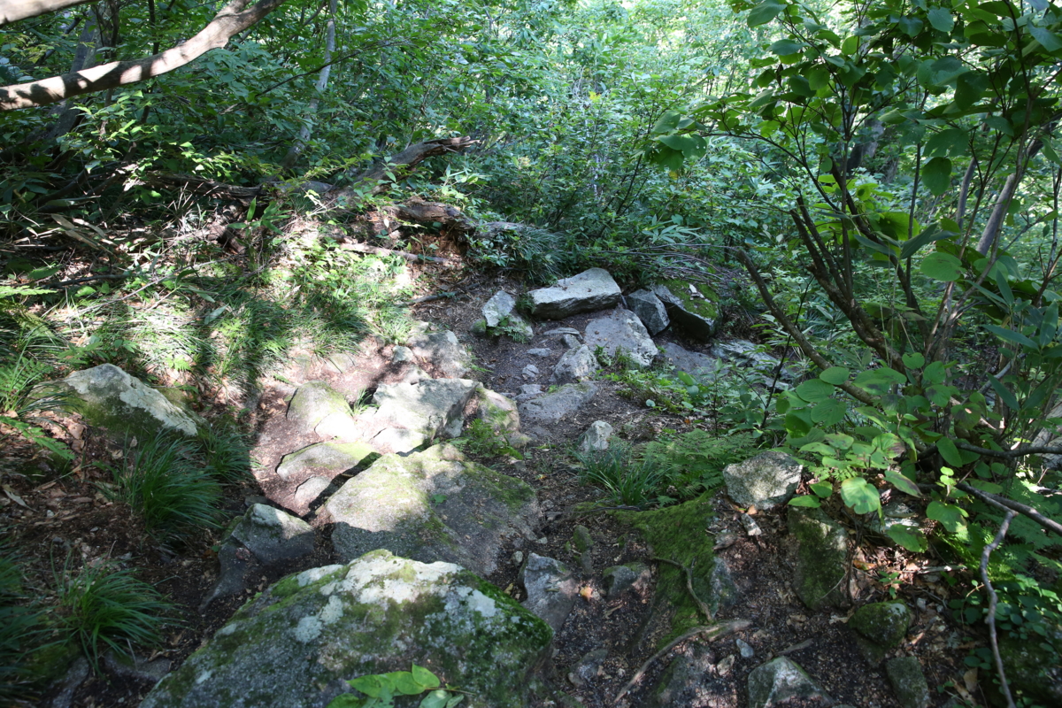 f:id:MAREOSIEV:20150925113351j:plain f:id:MAREOSIEV:20150925113351j:plain