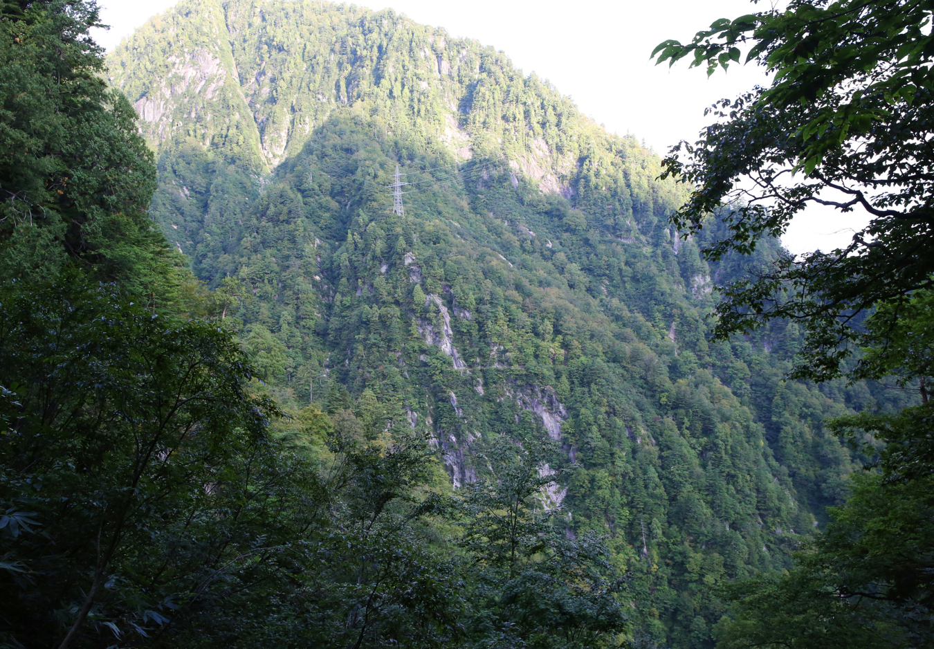 f:id:MAREOSIEV:20150927101206j:plain