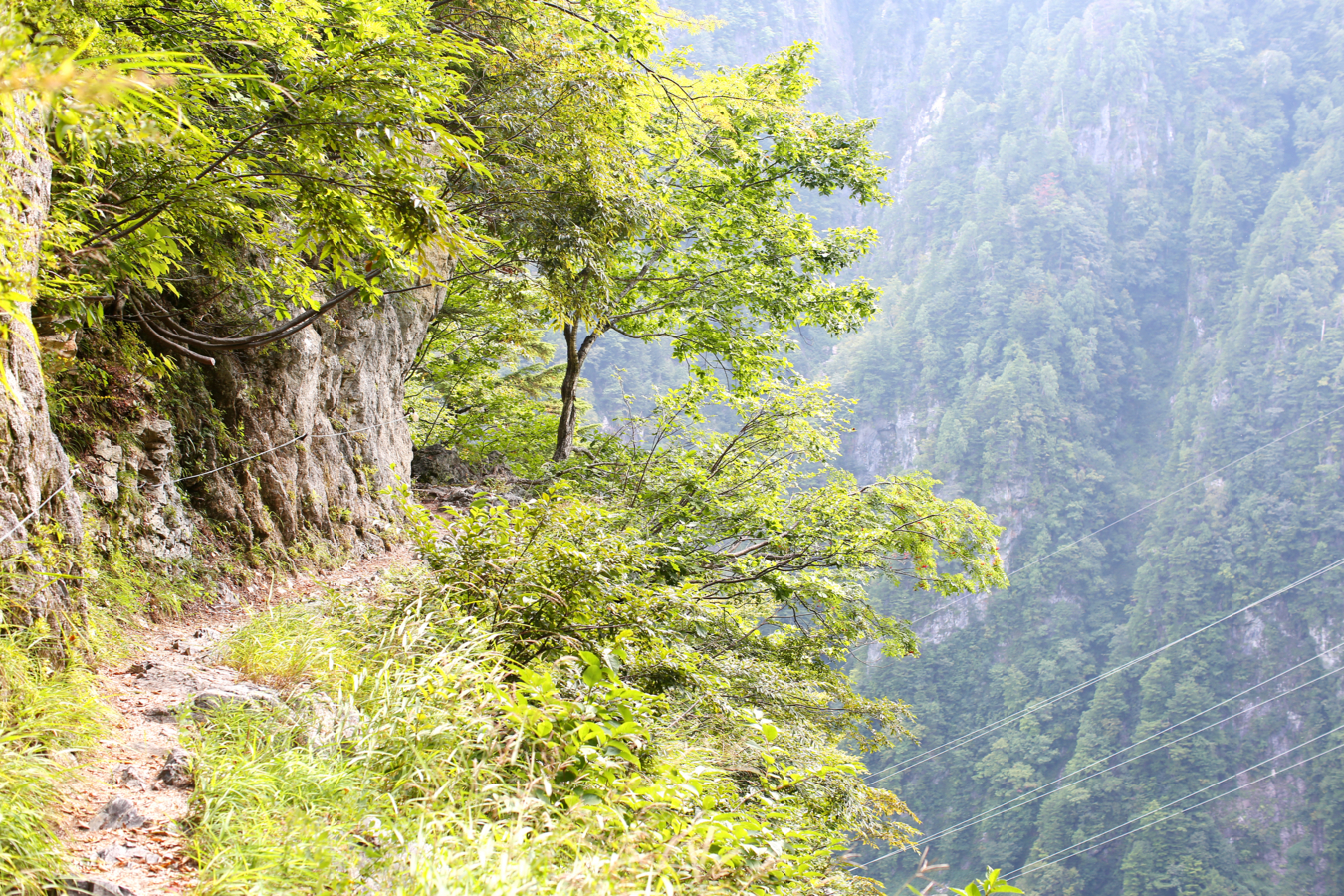 f:id:MAREOSIEV:20150927101227j:plain