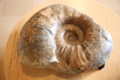 20150927165751