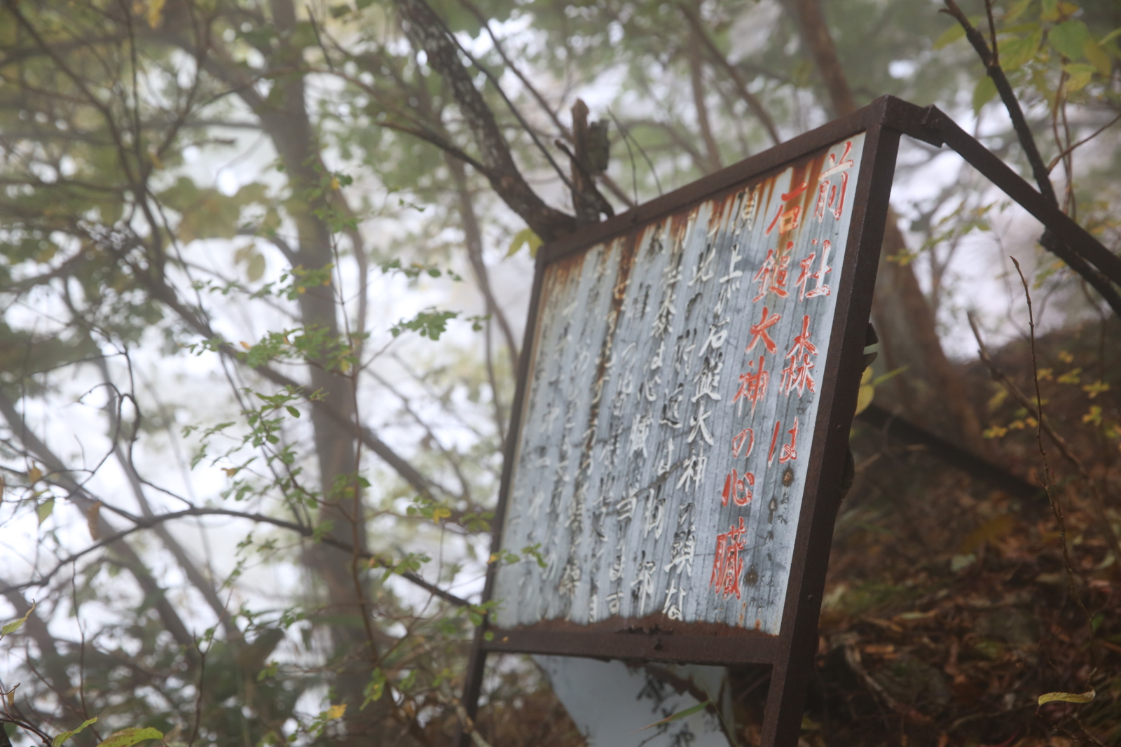 f:id:MAREOSIEV:20151018132114j:plain