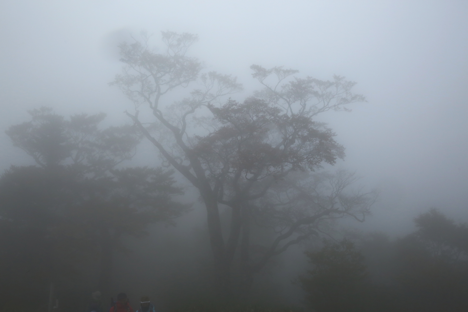f:id:MAREOSIEV:20151018132129j:plain
