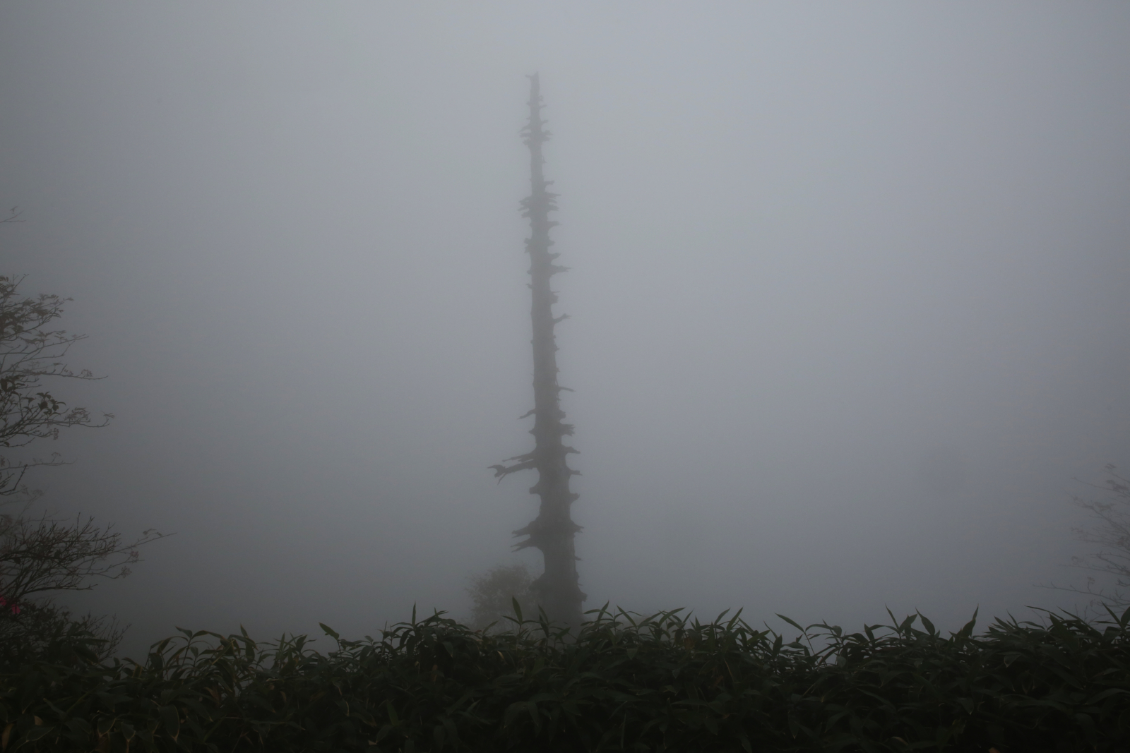 f:id:MAREOSIEV:20151018132135j:plain