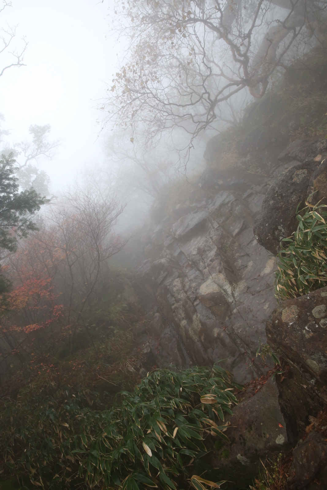 f:id:MAREOSIEV:20151018132148j:plain