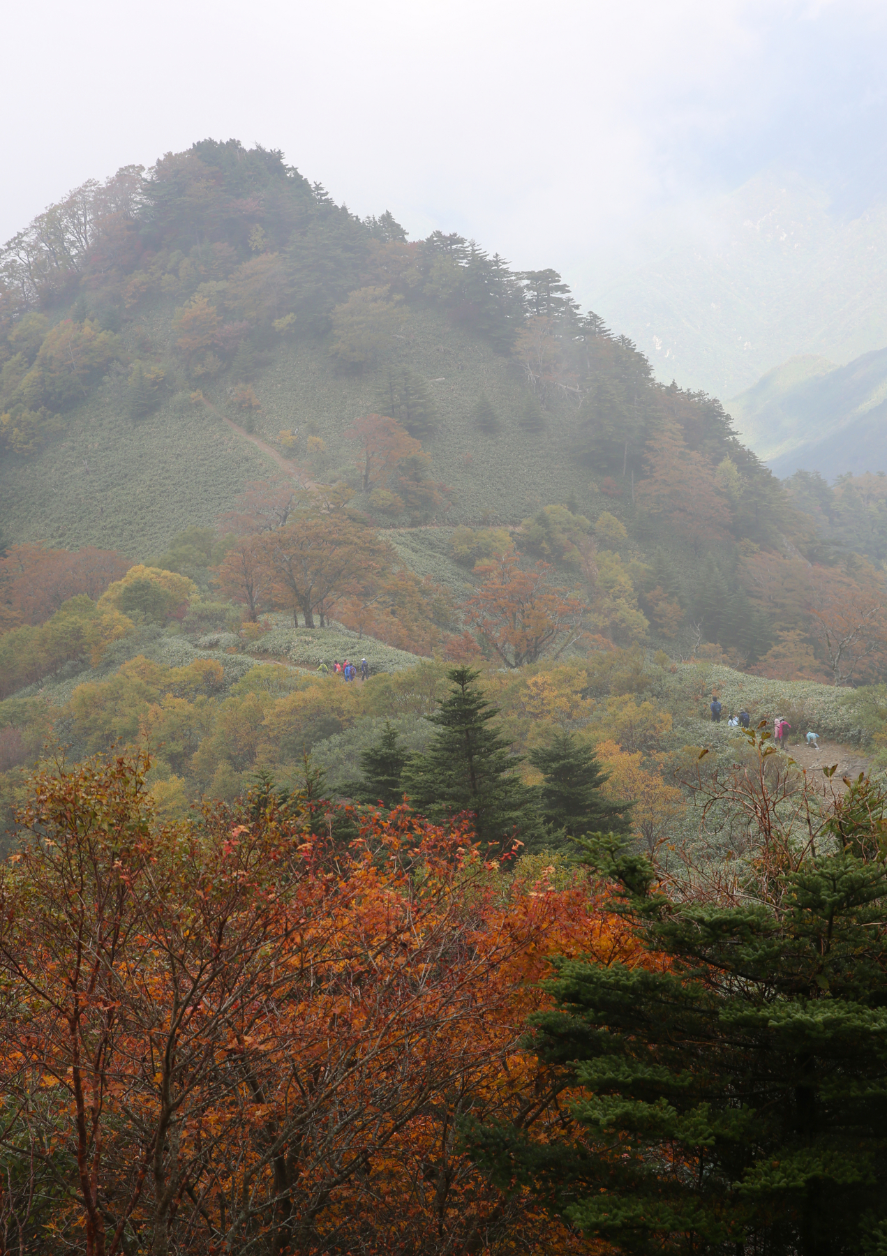 f:id:MAREOSIEV:20151018153316j:plain