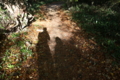 20151018153324