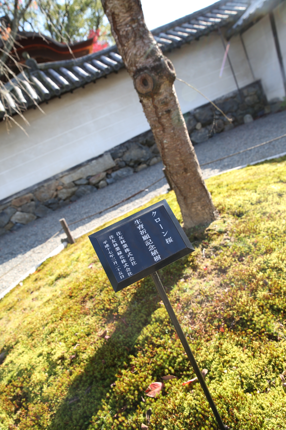 f:id:MAREOSIEV:20151213134230j:plain
