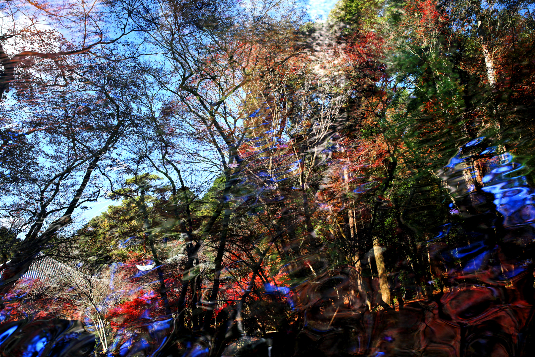 f:id:MAREOSIEV:20151213134253j:plain