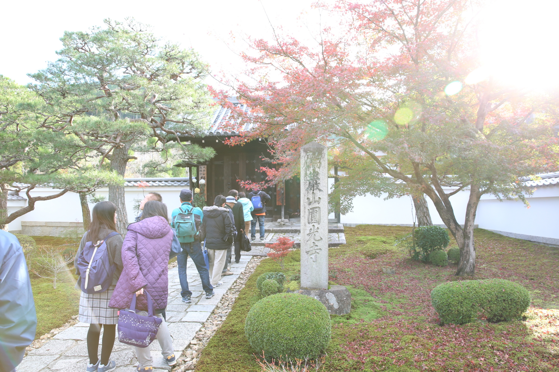 f:id:MAREOSIEV:20151220104050j:plain f:id:MAREOSIEV:20151220104050j:plain