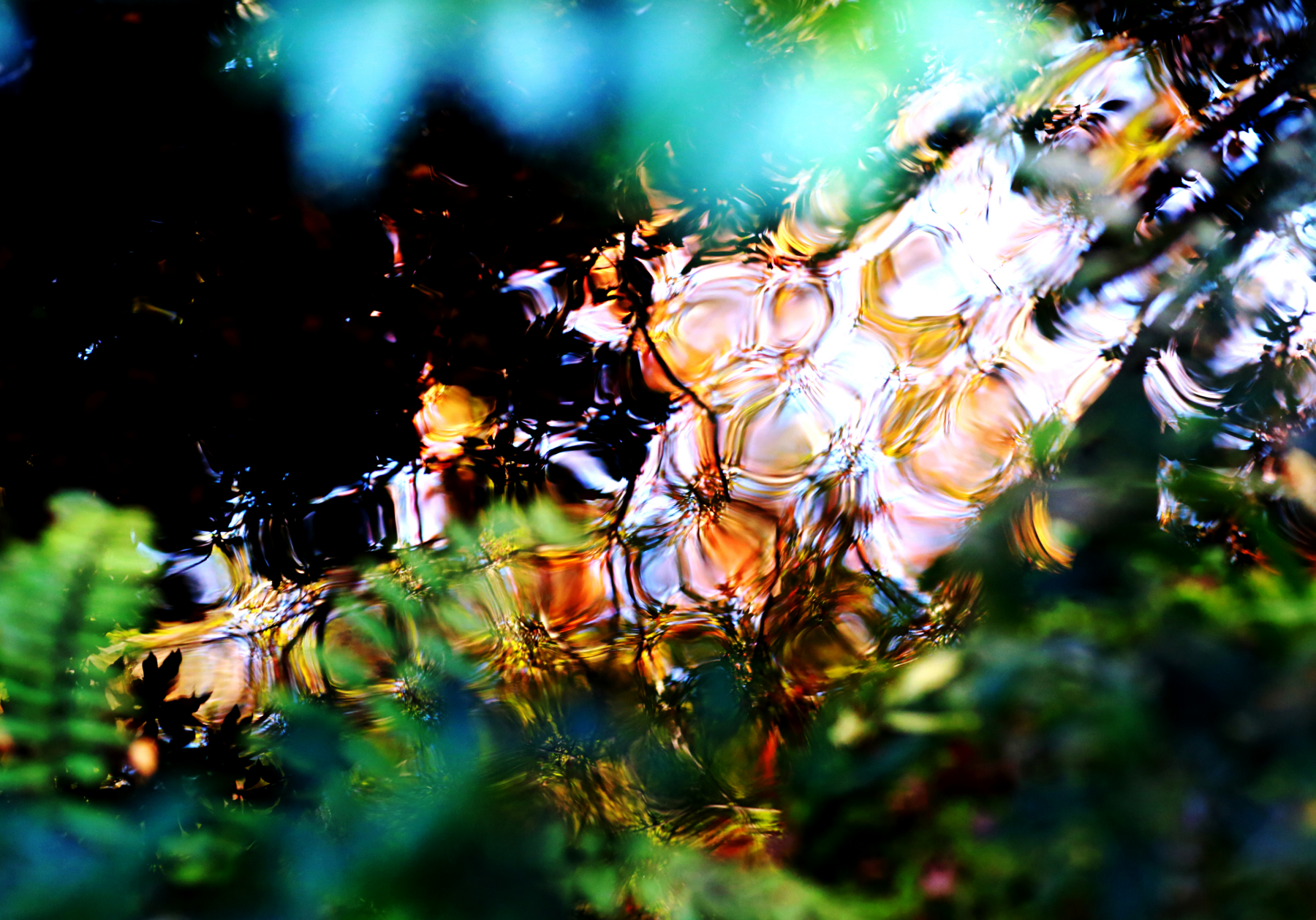 f:id:MAREOSIEV:20151220104117j:plain