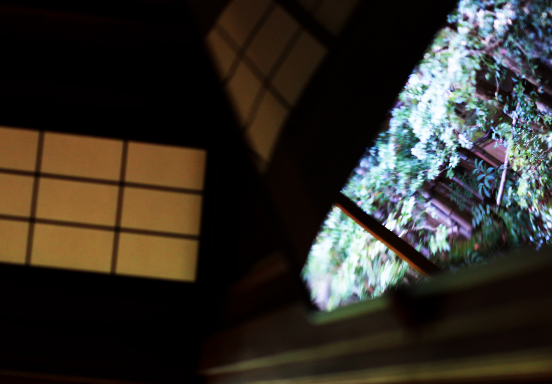 f:id:MAREOSIEV:20151220104125j:plain
