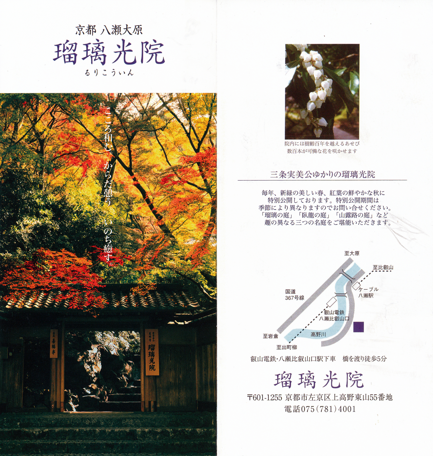 f:id:MAREOSIEV:20151220215547j:plain