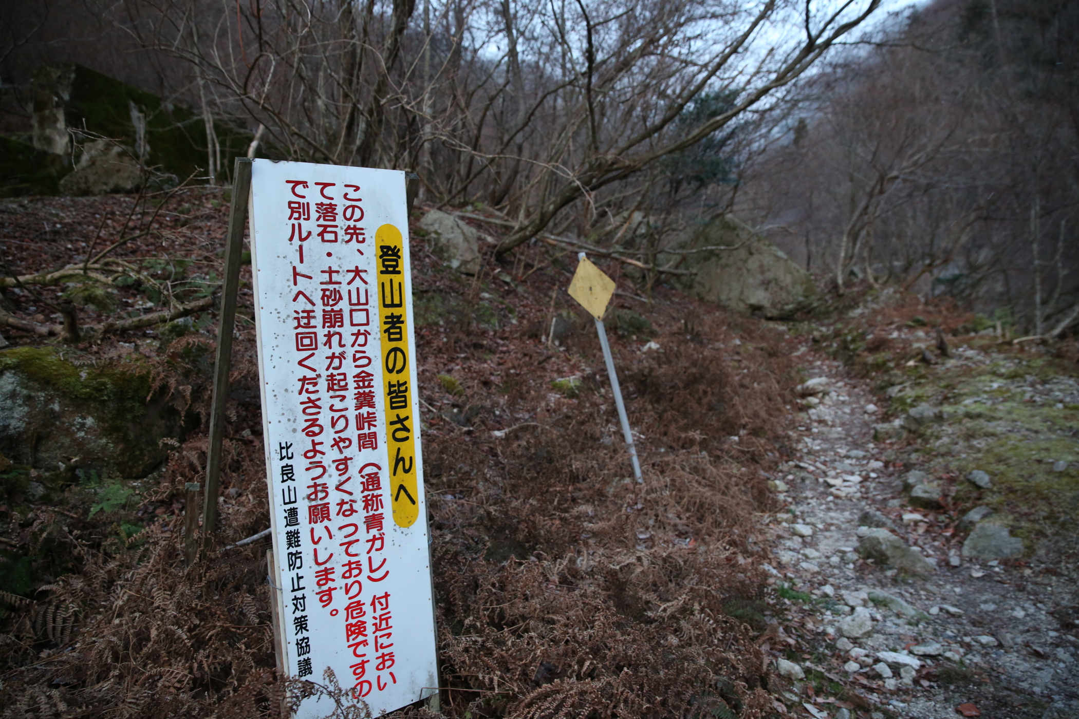 f:id:MAREOSIEV:20160110102457j:plain f:id:MAREOSIEV:20160110102457j:plain