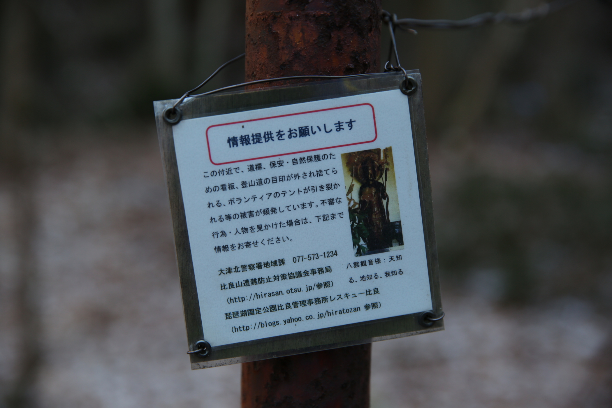 f:id:MAREOSIEV:20160110102511j:plain f:id:MAREOSIEV:20160110102511j:plain