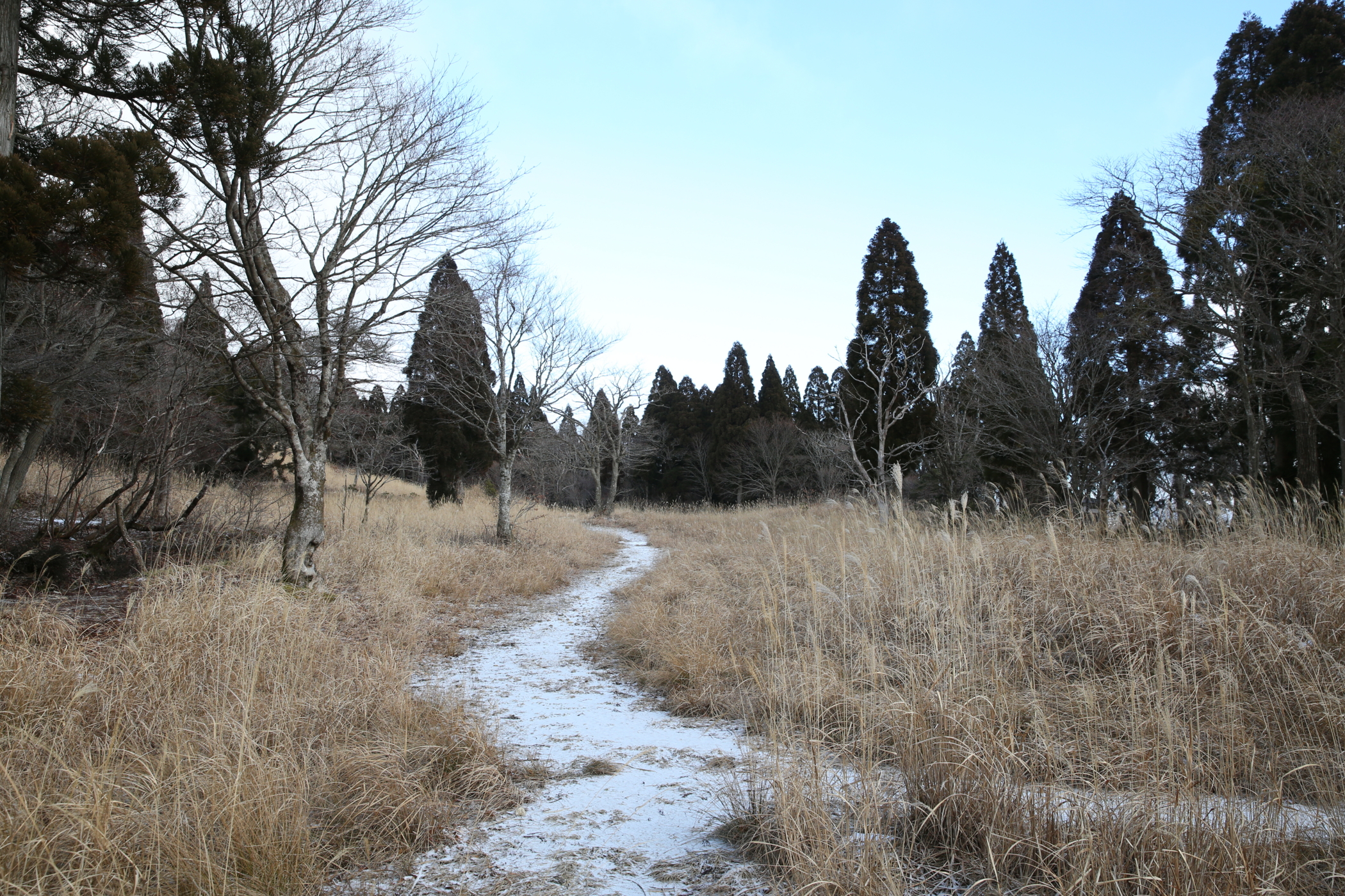 f:id:MAREOSIEV:20160110181537j:plain f:id:MAREOSIEV:20160110181537j:plain