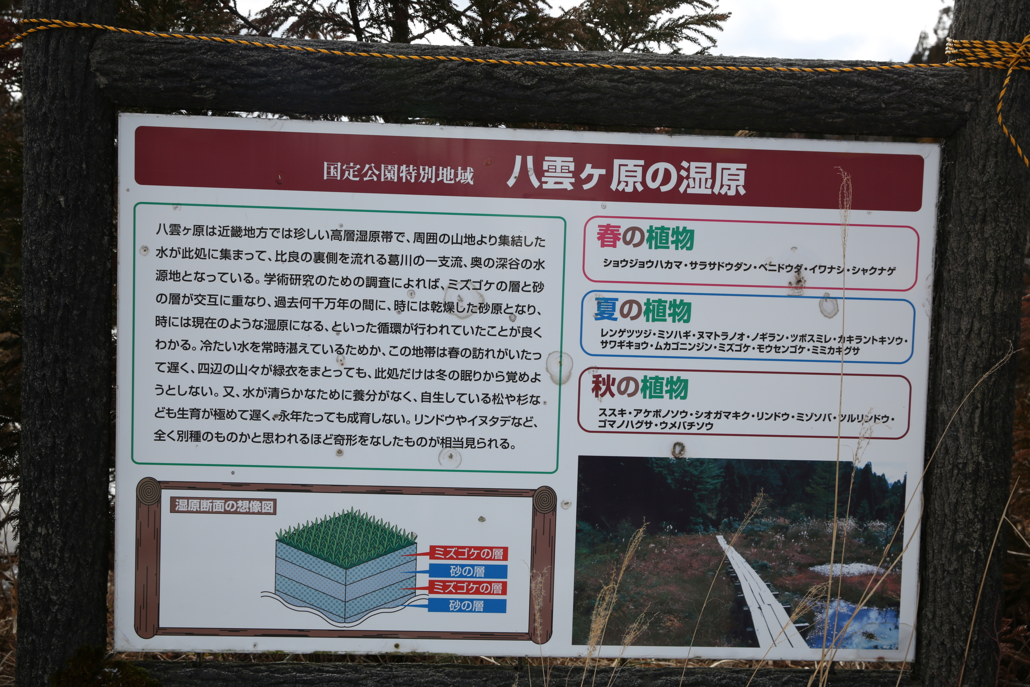 f:id:MAREOSIEV:20160110194735j:plain