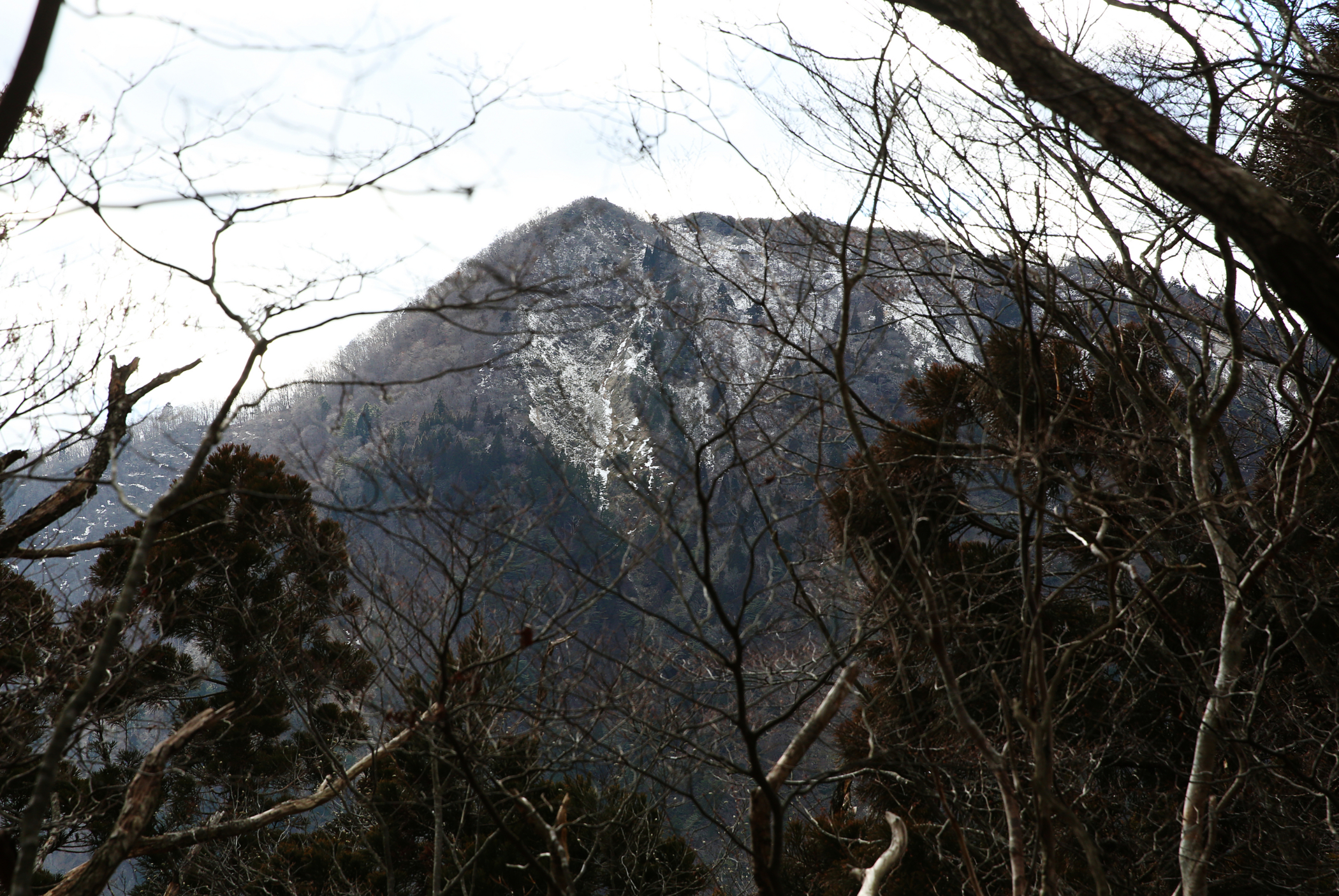 f:id:MAREOSIEV:20160110194744j:plain