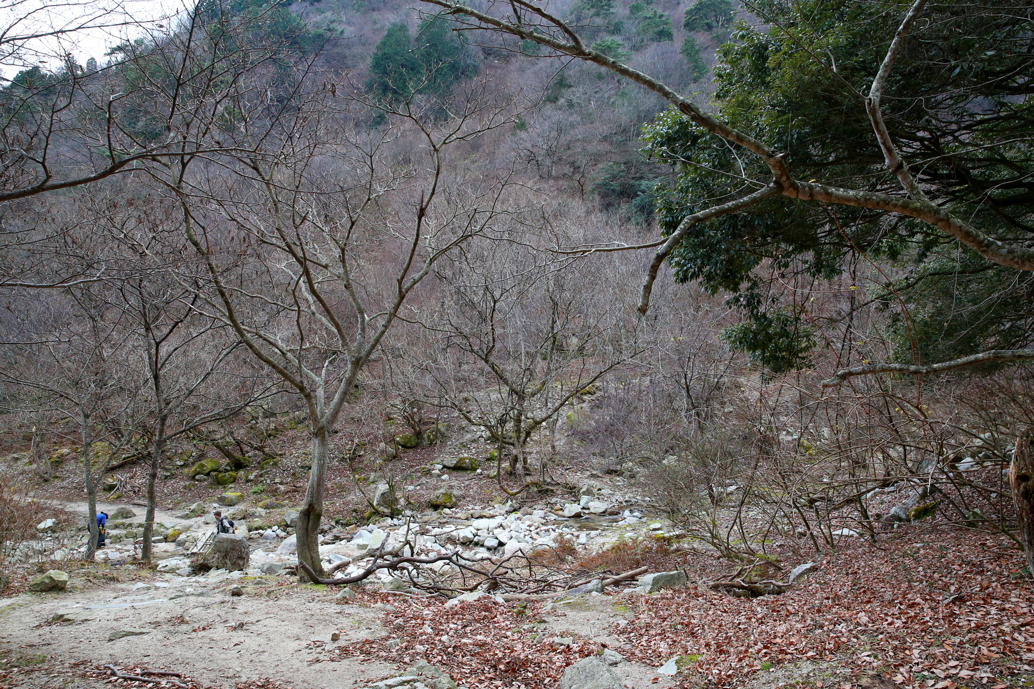 f:id:MAREOSIEV:20160110194748j:plain