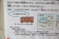 20160207155320