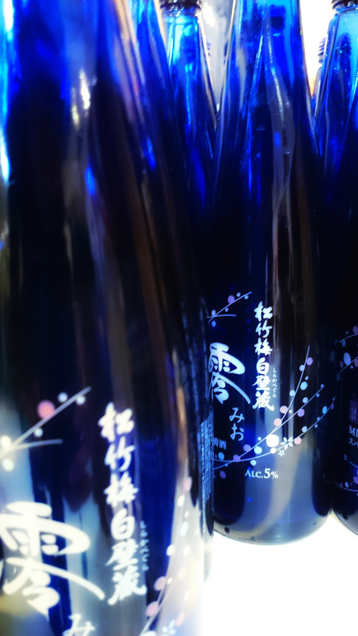 f:id:MAREOSIEV:20160228192219j:plain f:id:MAREOSIEV:20160228192219j:plain