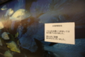 20160831232020