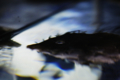 20160924132308