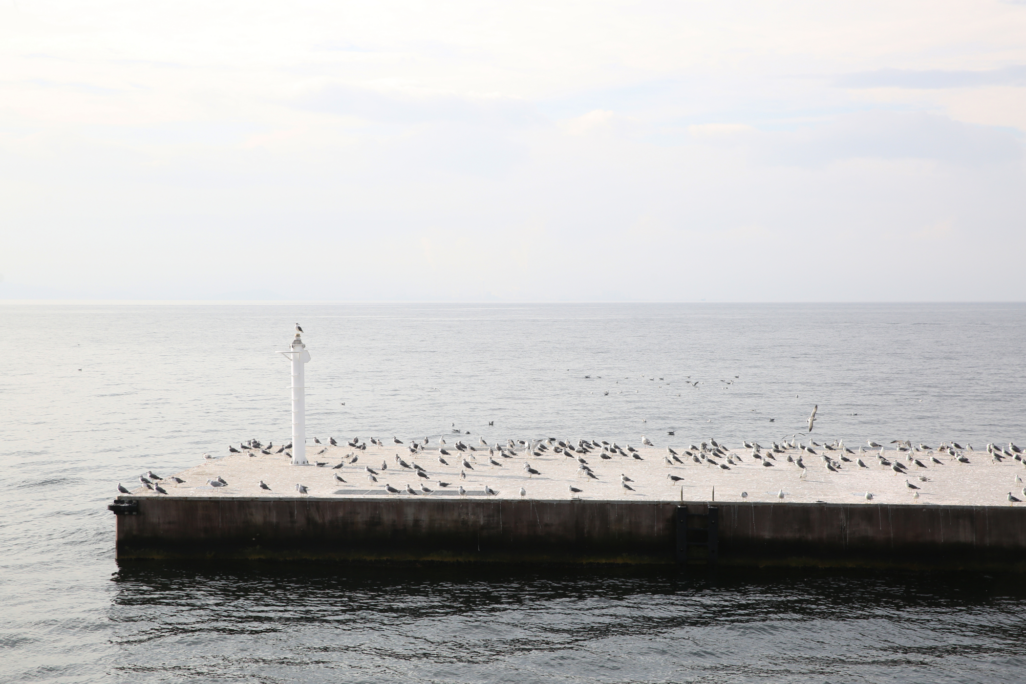 f:id:MAREOSIEV:20161010111123j:plain