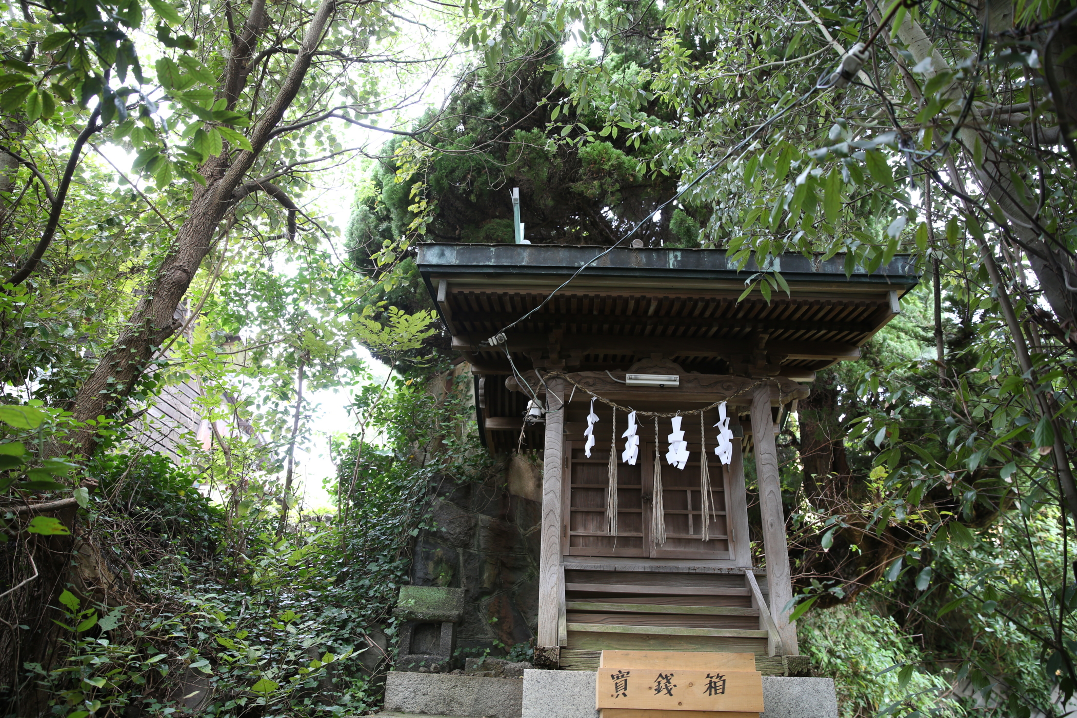 f:id:MAREOSIEV:20161010111138j:plain