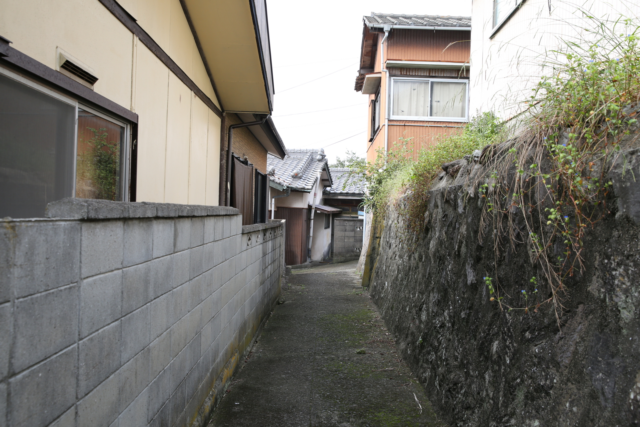 f:id:MAREOSIEV:20161010111141j:plain