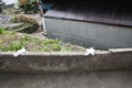 20161010130550 20161010130550
