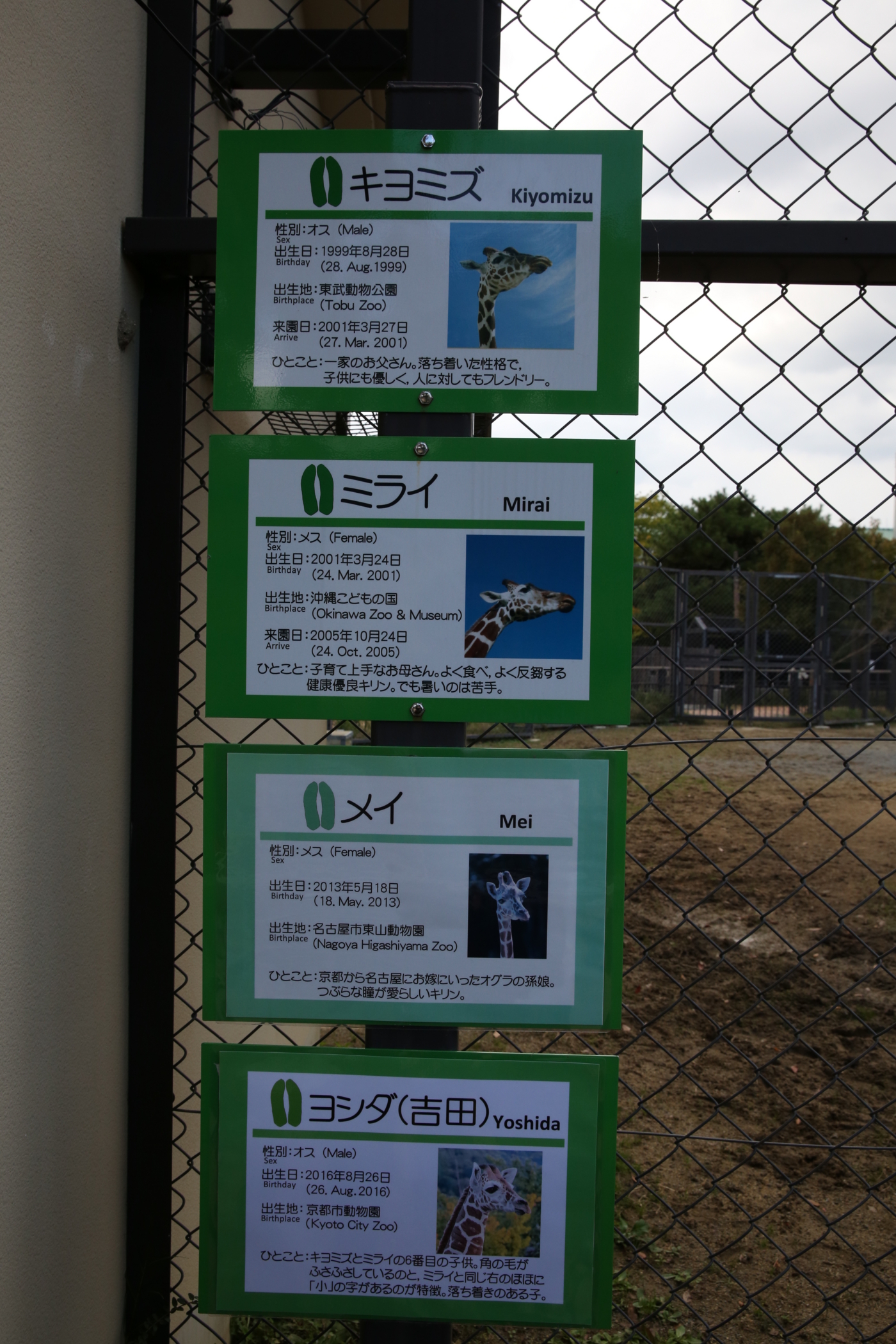 f:id:MAREOSIEV:20161113214231j:plain