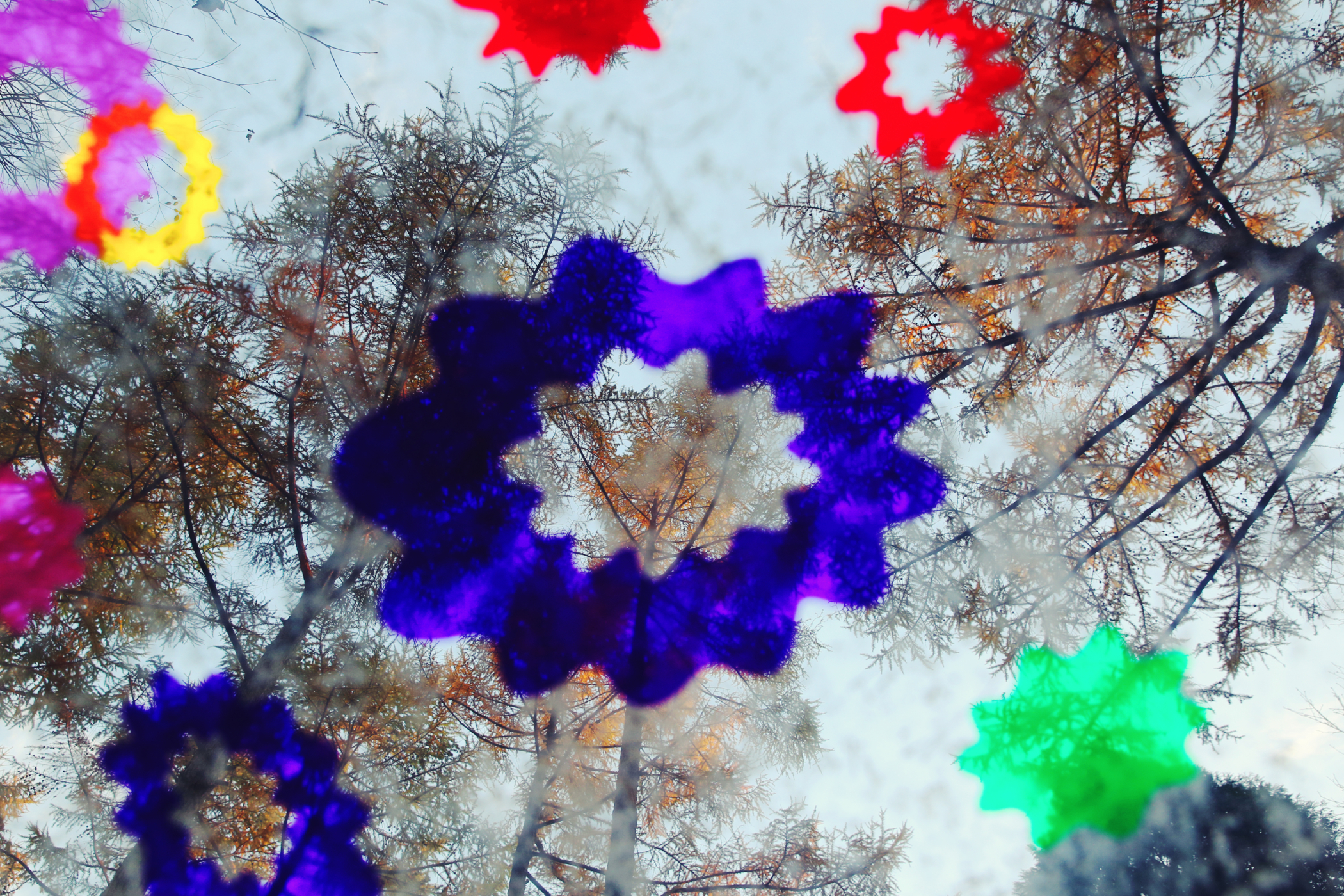 f:id:MAREOSIEV:20161115154530j:plain