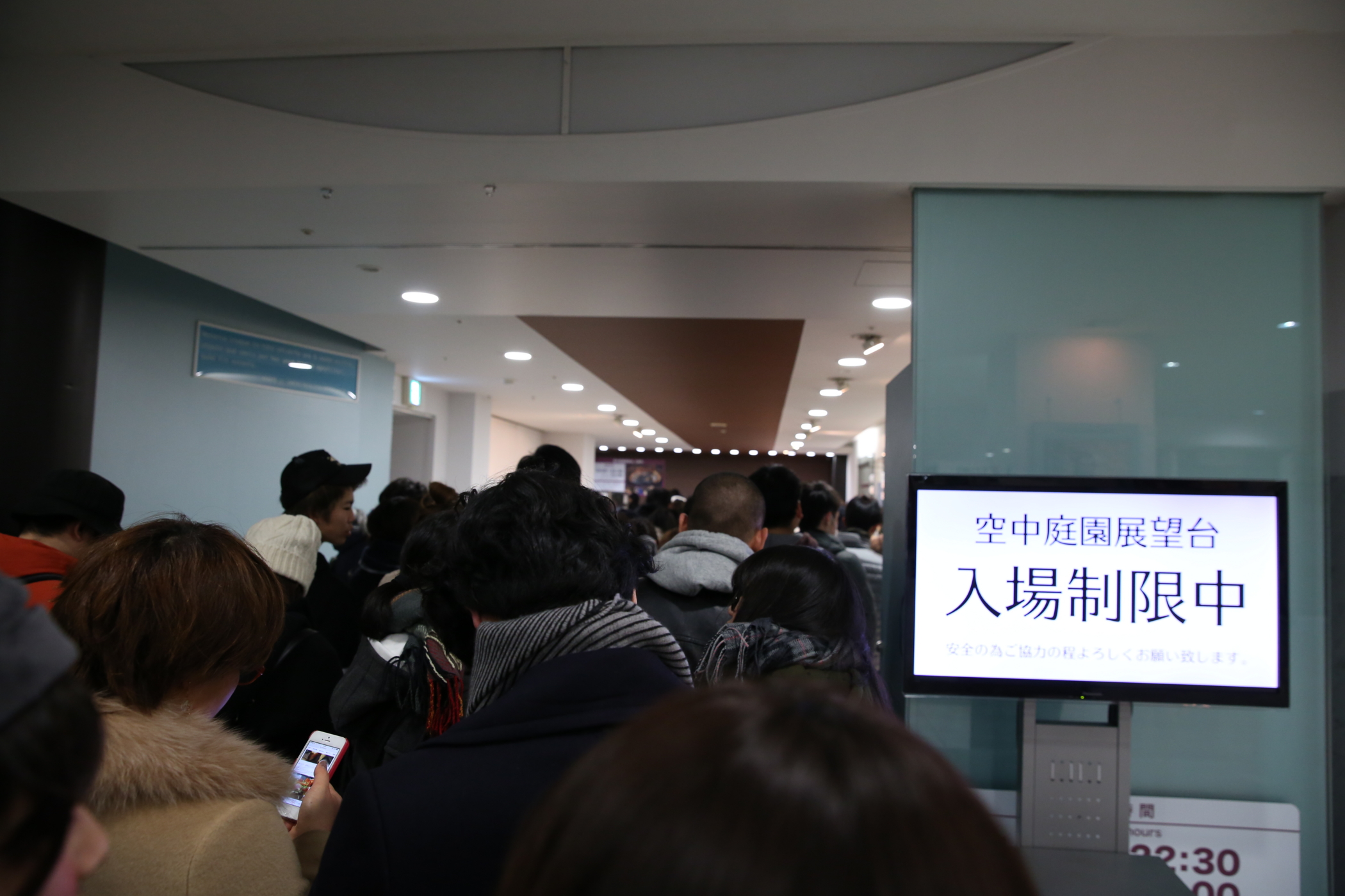 f:id:MAREOSIEV:20170101233339j:plain
