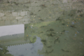 20170506104046