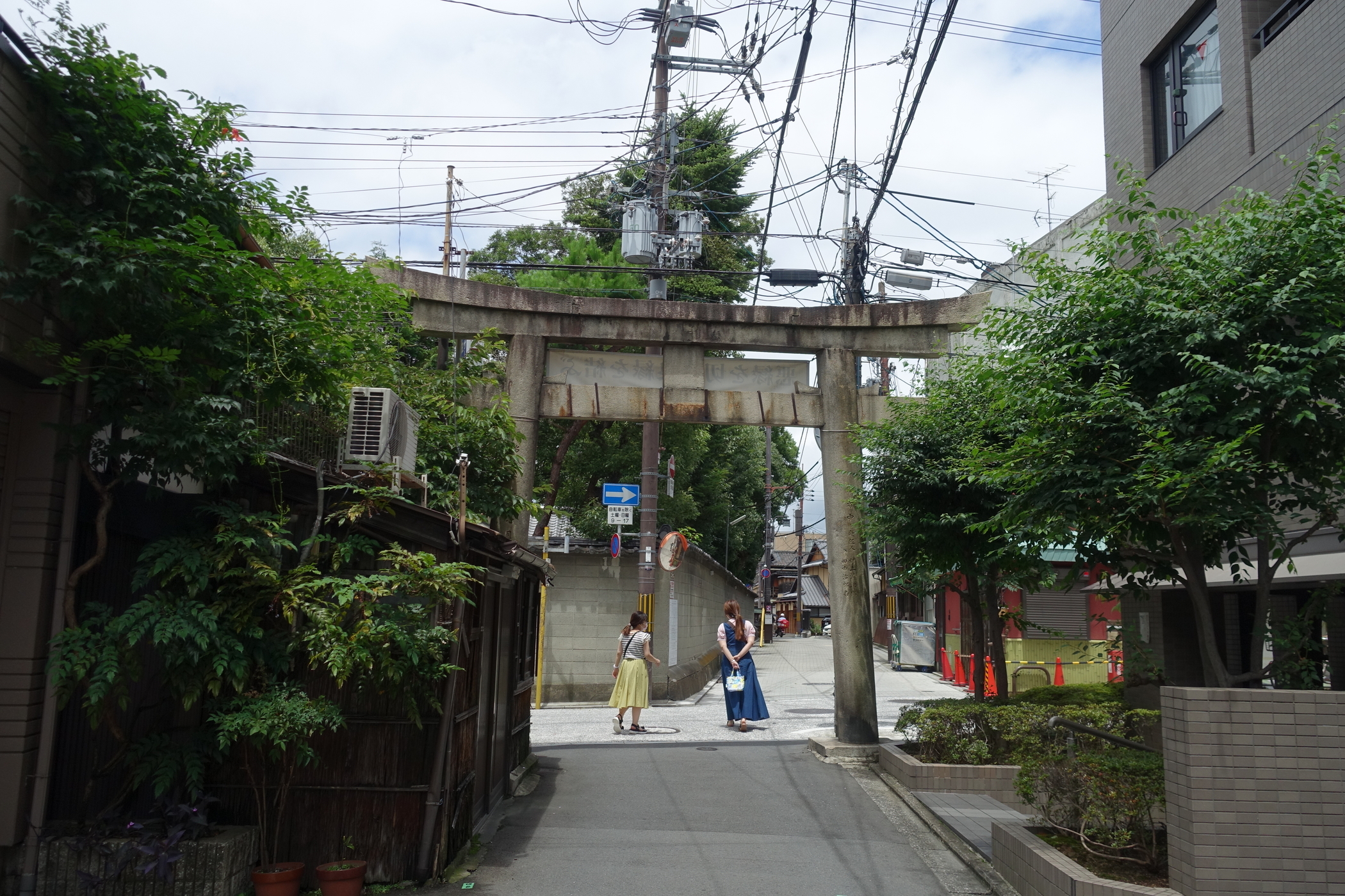 f:id:MAREOSIEV:20200712221941j:plain f:id:MAREOSIEV:20200712221941j:plain