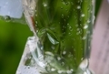 20200725200920