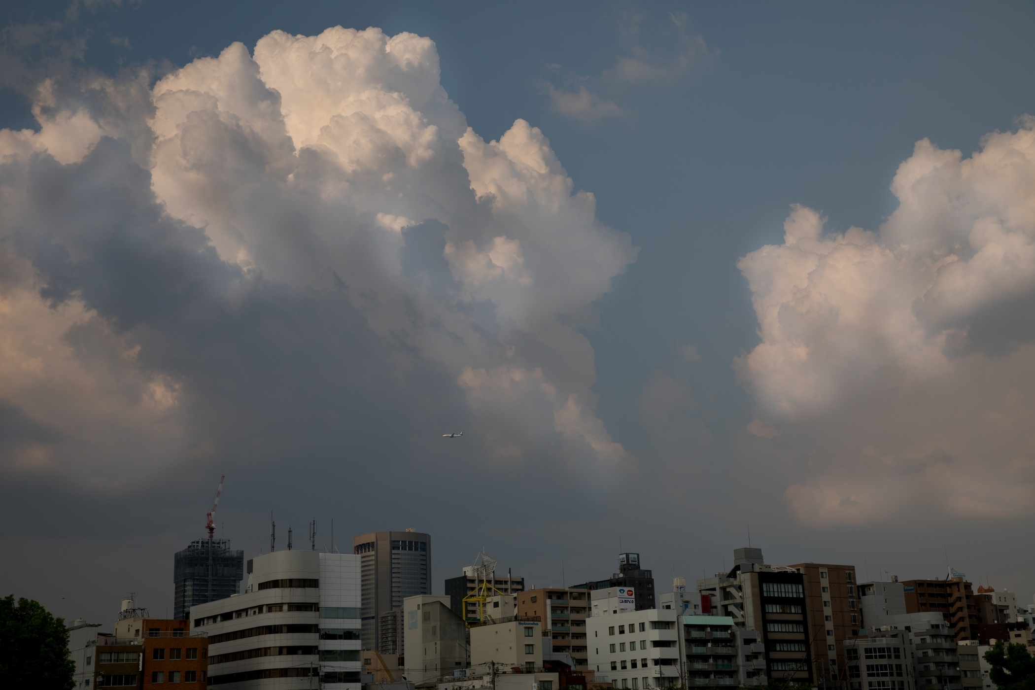 f:id:MAREOSIEV:20200821220643j:plain