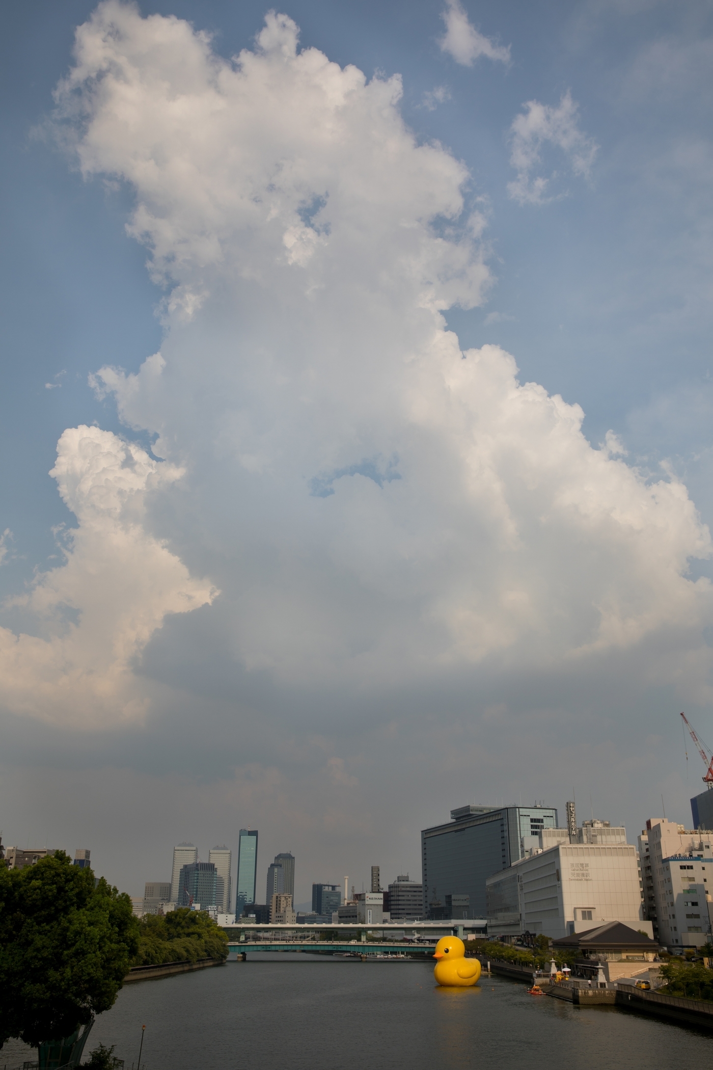 f:id:MAREOSIEV:20200821220854j:plain