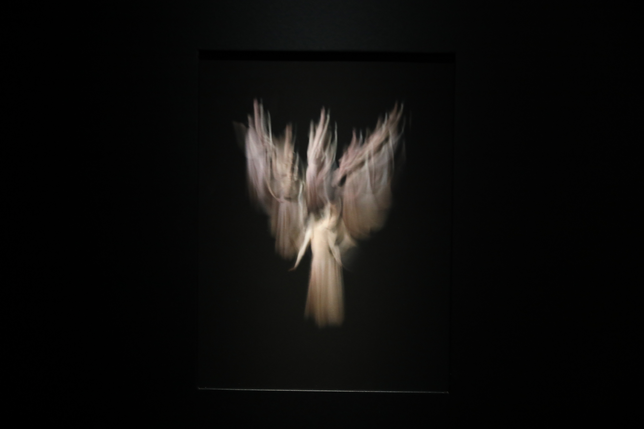 f:id:MAREOSIEV:20200920235712j:plain