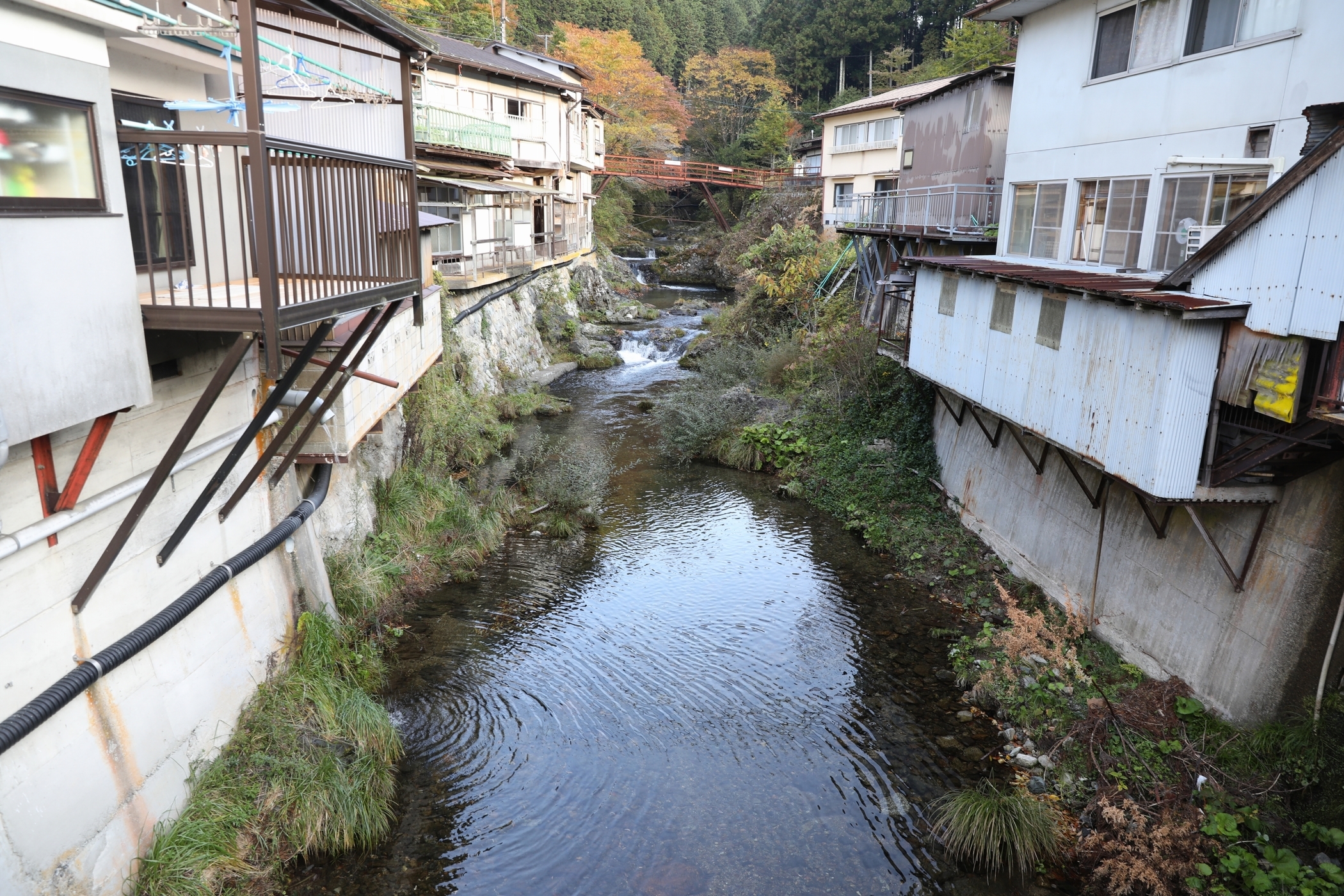 f:id:MAREOSIEV:20201103232405j:plain