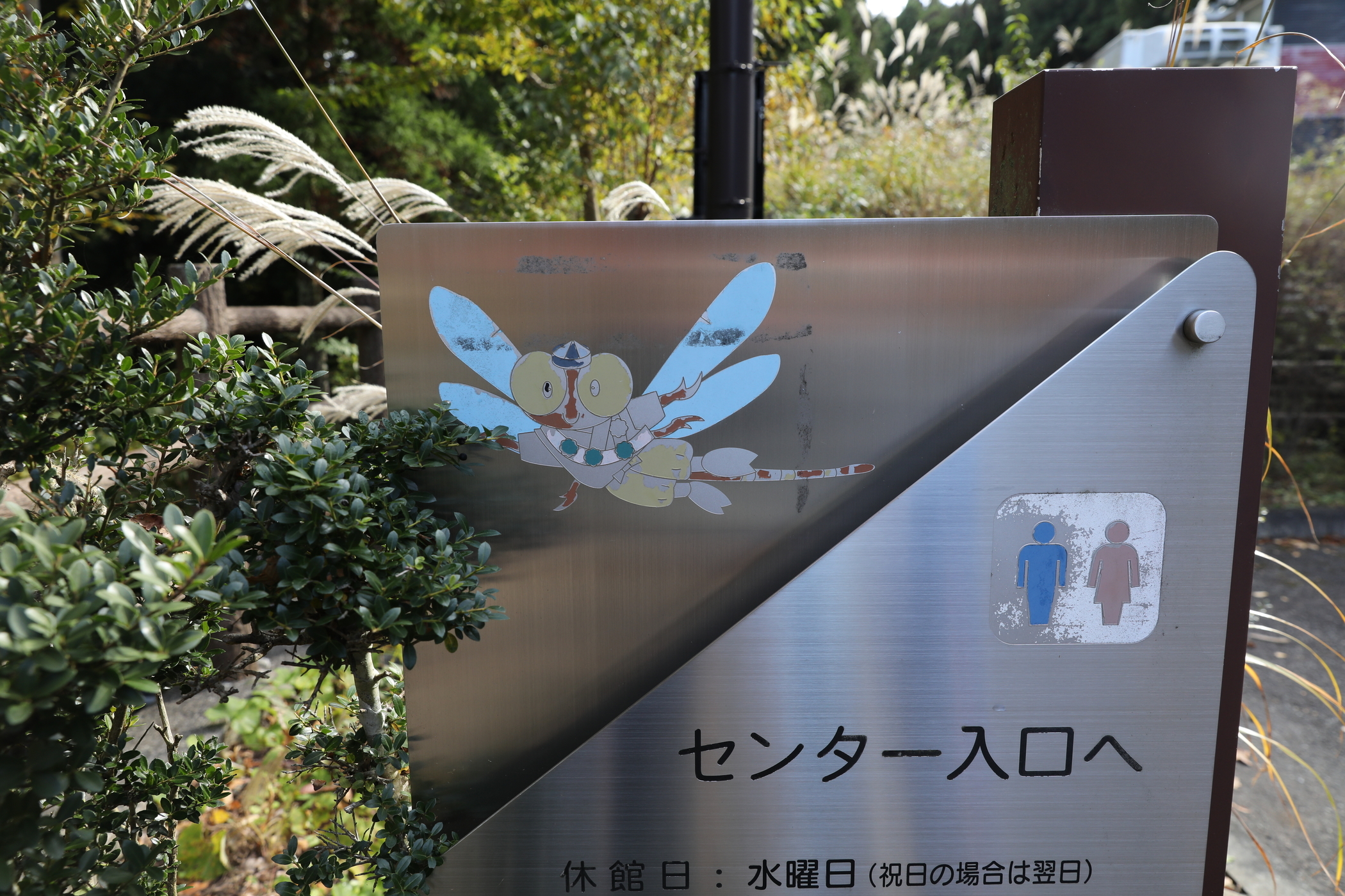 f:id:MAREOSIEV:20201103232741j:plain