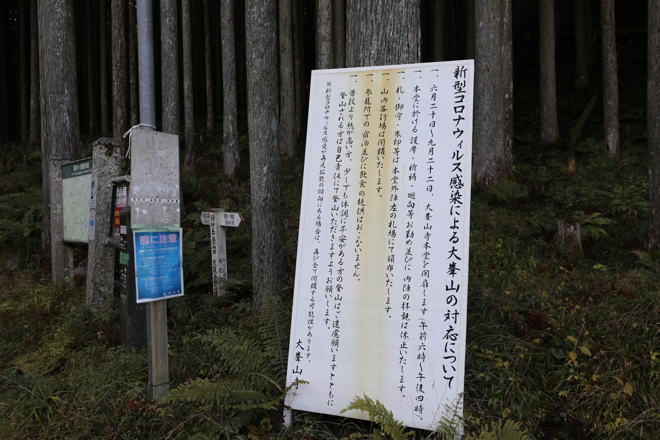 f:id:MAREOSIEV:20201103232955j:plain