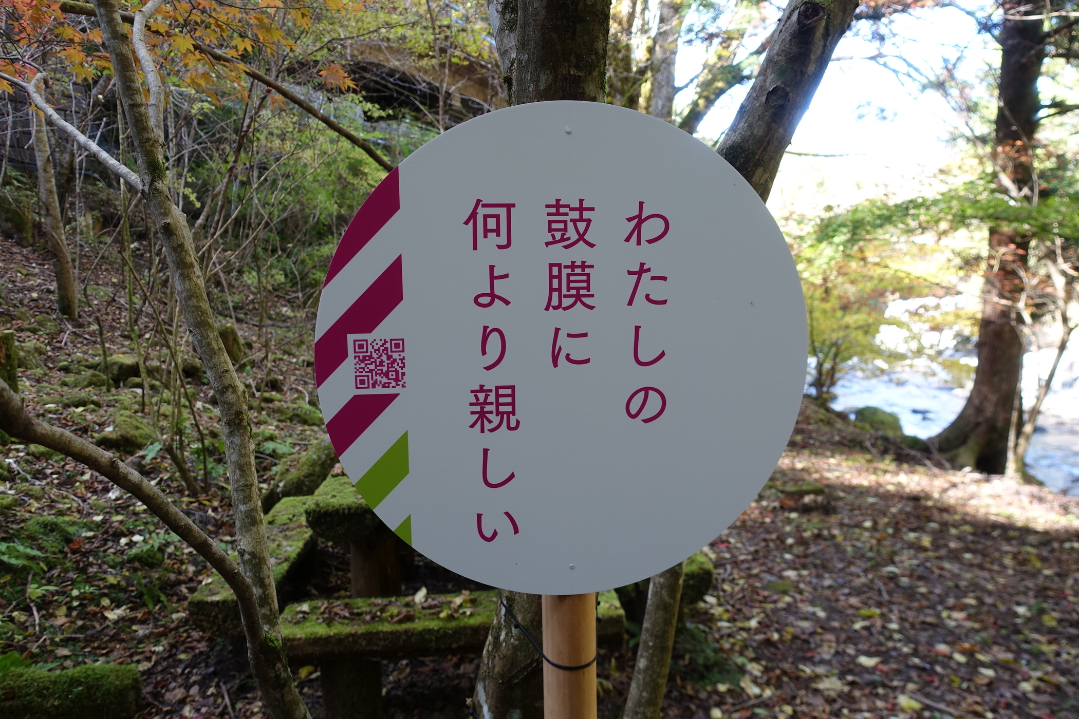 f:id:MAREOSIEV:20201103235226j:plain
